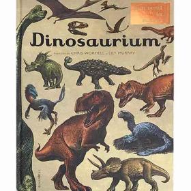 dinosaurium: bun venit la muzeu恐龙化石 少儿外文绘本