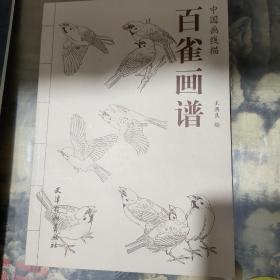 百雀图谱