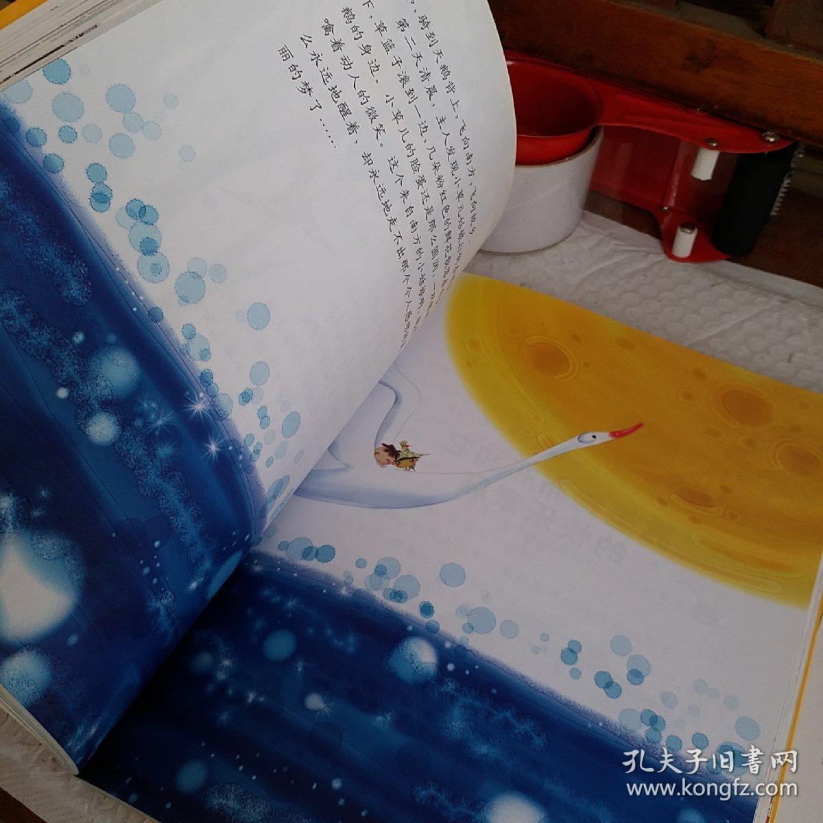 中国童话大师经典丛书.王晓晴童话，小兔子的月亮