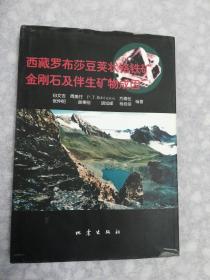 西藏罗布莎豆荚状铬铁矿、金刚石及伴生矿物成因