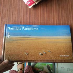 Namibia panorama