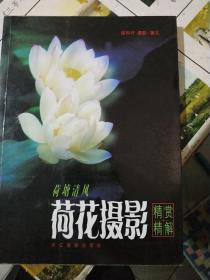 荷塘清风：荷花摄影精赏精解