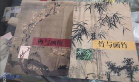 正版现货人民美术出版的竹与画竹 梅与画梅两本合售原价112特惠价包邮88元