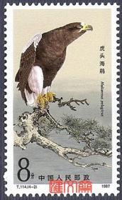 T114猛禽（4-2）8分 虎头海雕，原胶全新上品邮票一枚