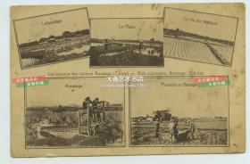 清末民初广西农业农业老明信片一张，犁地，耕种，灌溉，收获