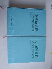 小城镇建设实践与探索全书