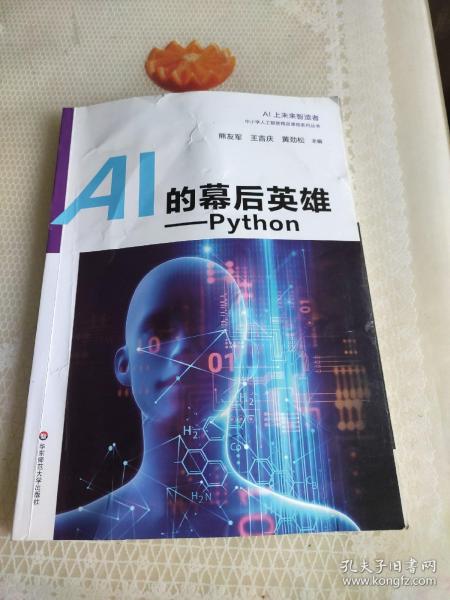 AI的幕后英雄：Python中小学人工智能精品课程系列丛书