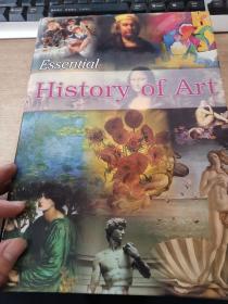 Essential History of Art（艺术历史）