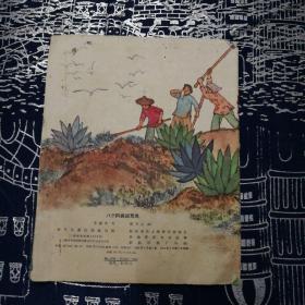 连环画：八个阿姨战荒岛（64年1版65年2印）