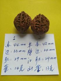 一对野生东北楸核桃   半壁江山   已收藏多年  自然包浆，未上手，虽不是精品，但也说得过去。没有白边子，黄尖子，没有开裂。