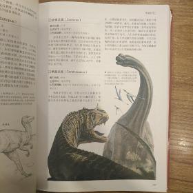 恐龙百科（超值全彩白金版）