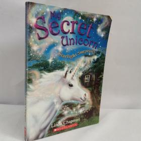 my secret unicorn  英文原版小说