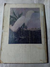 收获 文学双月刊 1982年第1期 封面 玛露里的马图、白鹭 内有 求、远去的白帆、真真假假、别了 蒺藜、站立在云霄里的人等等名家作品 赠书籍保护袋