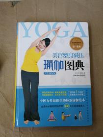 美容塑身减压瑜伽图典9787542744814上海科学普及出版社