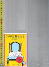 原版日语长篇小说 吾輩は猫である / 夏目漱石【店里有许多日文原版小说欢迎选购】