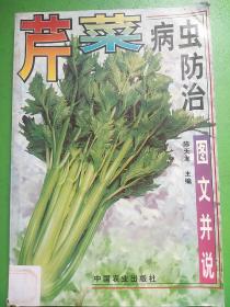 芹菜病虫防治（图文并说）