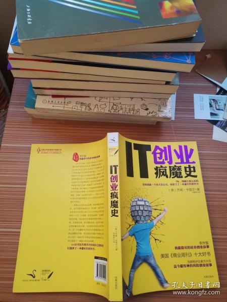 IT创业疯魔史