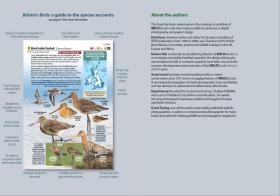 预订2周到货  Britain's Birds: An Identification Guide to the Birds of Great Britain and Ireland   英文原版  英国的鸟 鸟类生物学