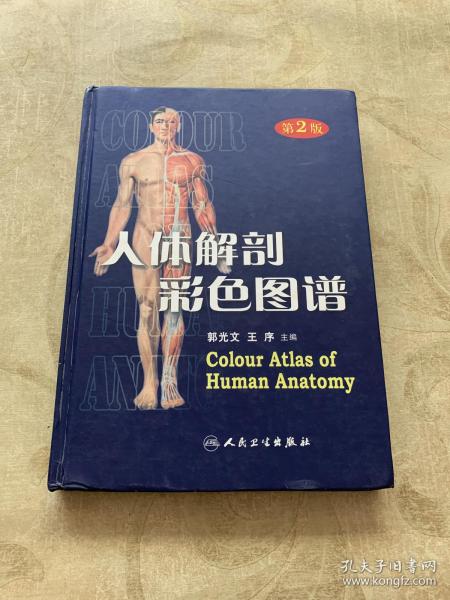 人体解剖彩色图谱