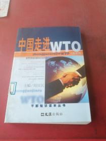 中国走进WTO(最新版)