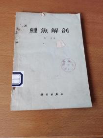 鲤鱼解剖（60年1版1印 16开 印数2000册）