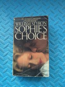 sophies  choice  willian   styron