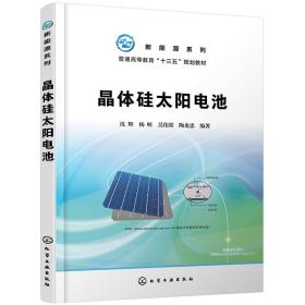 新能源系列--晶体硅太阳电池（沈辉）