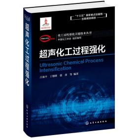 化工过程强化关键技术丛书--超声化工过程强化