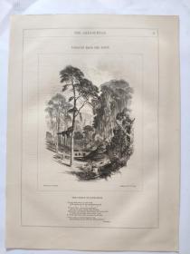 1849年 木口木刻 木版画 （正背印刷）之03号 20200913
