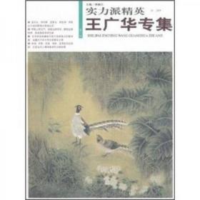 实力派精英（第1辑）：王广华专集