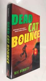 Dead Cat Bounce 英文原版青少年小说  精装 库存书
