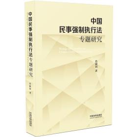 中国民事强制执行法专题研究