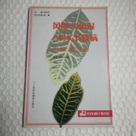 風(fēng)濕、類風(fēng)濕與骨關(guān)節(jié)疾病患者自助手冊——患者自助手冊書系 /李