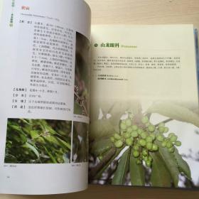 百山祖的野生植物 木本植物Ⅱ（扉页有印章）