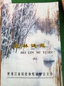 北林谜苑6，黑龙江绥化市灯谜协会。2004年