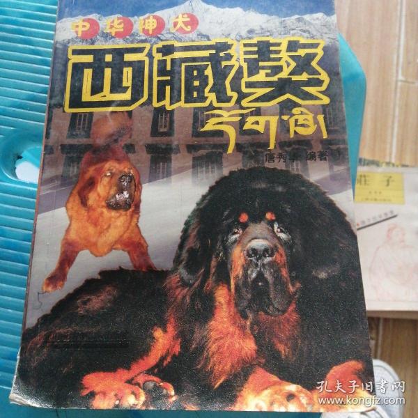 中华神犬——西藏獒