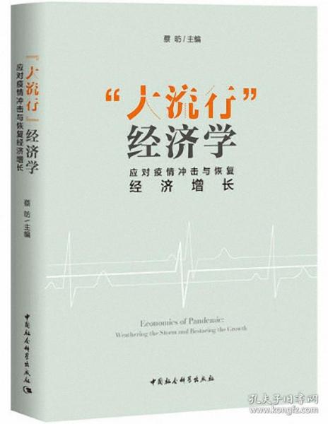 “大流行”经济学——应对疫情冲击与恢复经济增长