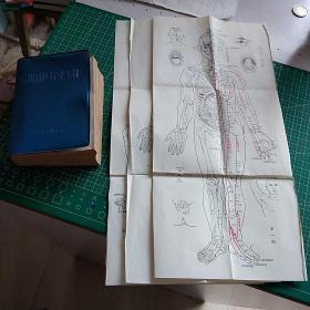 常用新疗法手册（内页介绍：脏腑经络的基本知识，14种常用新医疗法，6种民间简易疗法，160种常见疾病的治疗，64开插图本！)附十四经穴、奇穴图 3张