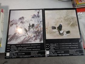 花鸟画集 房新泉高卉民祁惠民
花鸟画集 彭培泉 曾宓 张德泉
两本合售