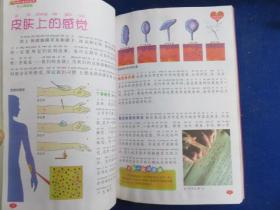 中国儿童百科全书 人体奥秘（注音彩图版）