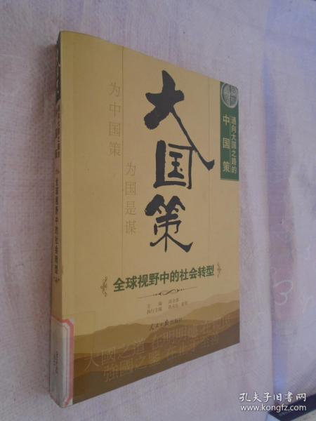 大国策：全球视野中的社会转型  馆藏