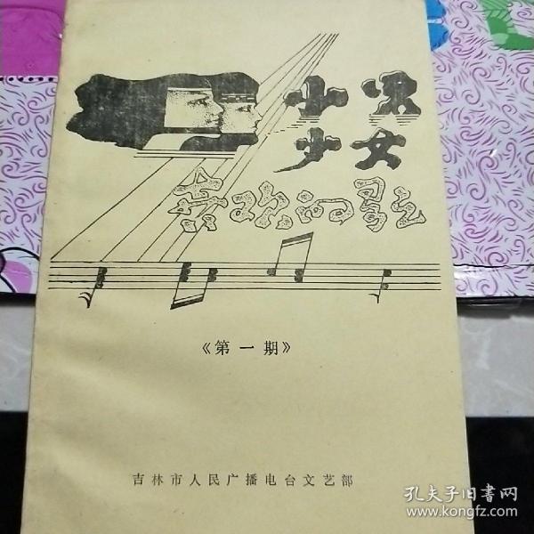 少男少女喜欢的歌第一期