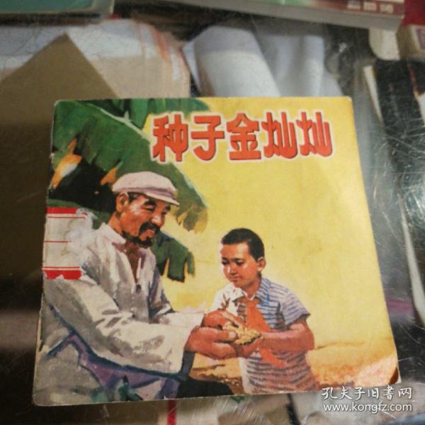 金子金灿灿