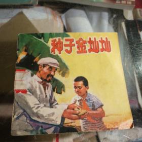 金子金灿灿