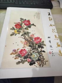 王静如花鸟画集