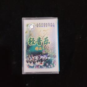 磁带：轻音乐精品 2【无歌词】