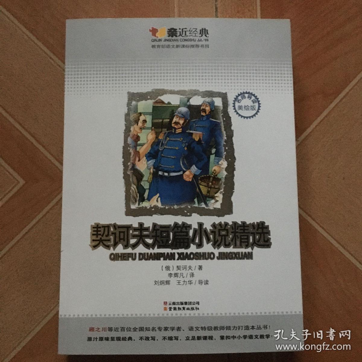 契诃夫短篇小说精选【名师导读美绘版】 原版内页干净