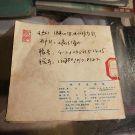 金子金灿灿