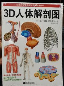 3D人体解剖图