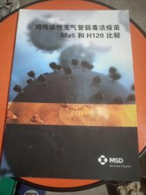 鸡传染性支气管弱毒活疫苗Ma5和H120比较